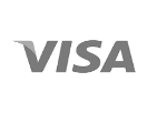 Visa Logo